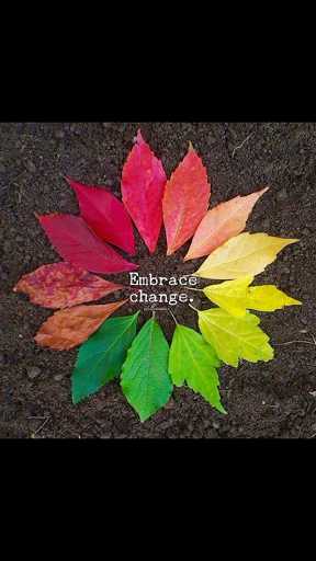 Hair Salon «His-N-Hair», reviews and photos, 277 Spring St, Newton, NJ 07860, USA