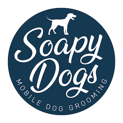 Soapy Dogs