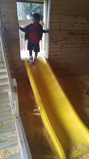 Tourist Attraction «Sugar Hill U-pick Farms», reviews and photos, 3595 Co Rd 59, Verbena, AL 36091, USA