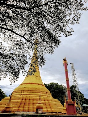 ဇမ္ဘူဉသျှောင်စေတီတော် အုတ်ဖိုမကျီးပင်