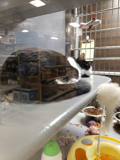 Pet Supply Store «PetSmart», reviews and photos, 3780 Riverchase Village #300, Hoover, AL 35244, USA