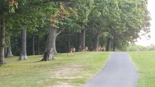 Golf Club «The Club at Ironwood», reviews and photos, 62 Country Club Cir, Staunton, VA 24401, USA