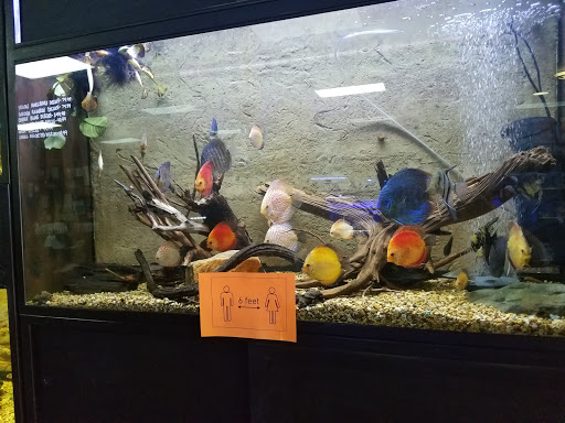 Tropical Fish Store «Pisces Reef Fish Emporium, LLC», reviews and photos, 9326 W Sahara Ave, Las Vegas, NV 89117, USA