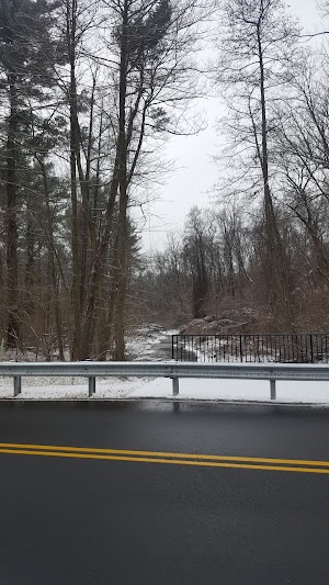 Angelica Creek Park - photo 37