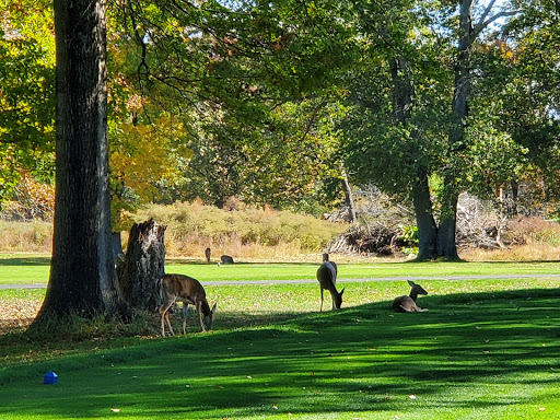 Public Golf Course «Algonkian Golf Course», reviews and photos, 47001 Fairway Dr, Sterling, VA 20165, USA
