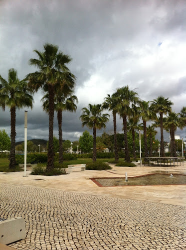Estádio Dr. Francisco Vieira - Silves Futebol Clube - Campo de futebol