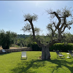 Photo n°2 de l'avis de Fabry68.a fait le 16/08/2023 à 06:05 sur le  Borgo Canonica à Cisternino