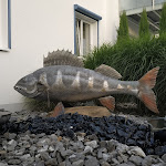 Photo n°1 de l'avis de Francesco.. fait le 05/08/2019 à 21:24 sur le  Uhldinger Fischtheke - Stefan und Heidi Knoblauch à Uhldingen-Mühlhofen