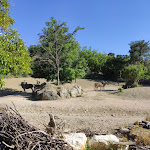 Photo n°6 de l'avis de Steng. fait le 08/06/2021 à 09:13 sur le  Parco Zoo Falconara Srl à Falconara Marittima