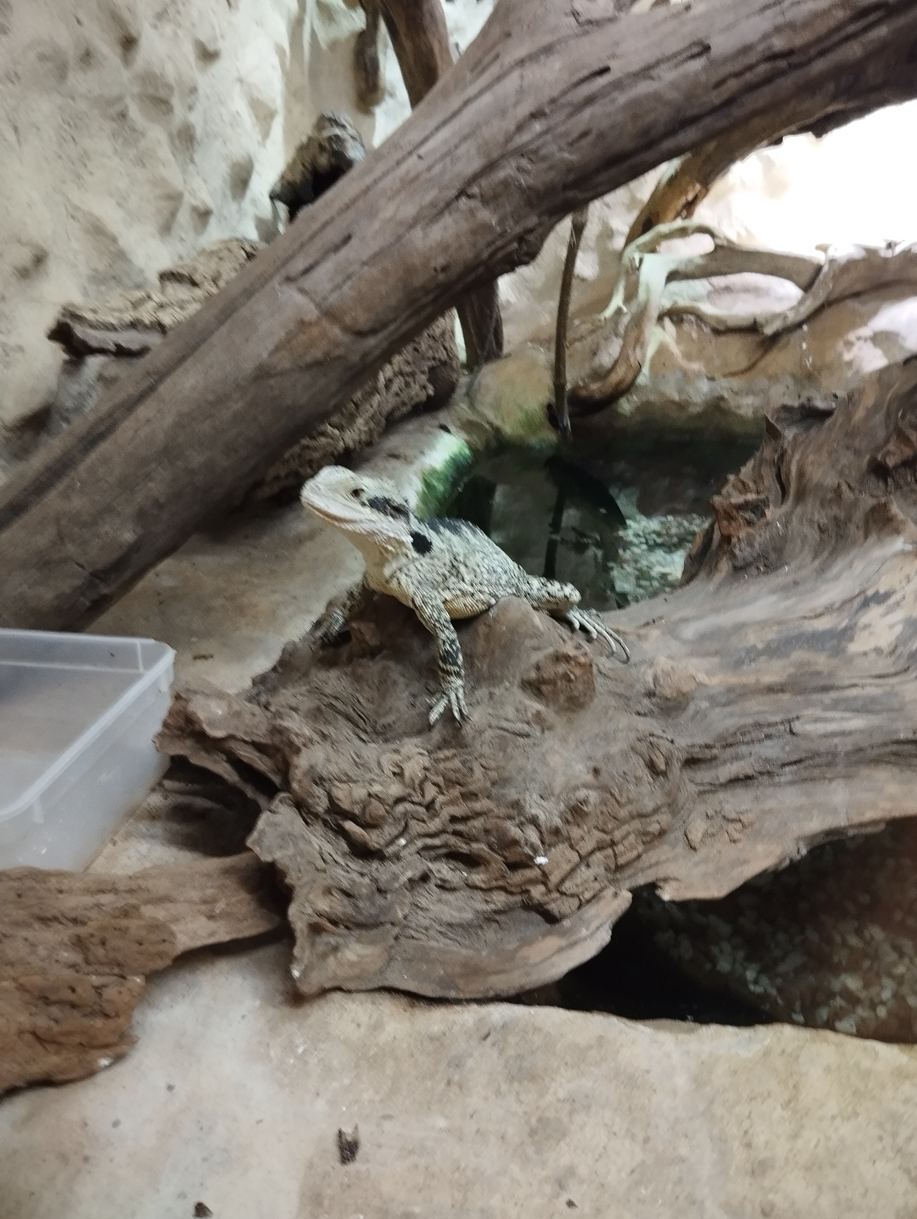 Photo n° 3 de l'avis de Seb.e fait le 17/07/2023 à 19:09