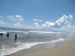 Foto di Nallavadu Beach zona selvaggia