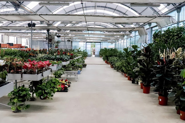 VIVEIROS VITOR LOURENÇO