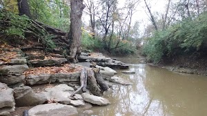 Cape Woods Conservation Area - photo 3