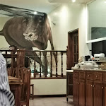 Photo n°15 de l'avis de Cely. fait le 11/10/2021 à 19:38 sur le  Domingos Ambrósio à Sabugal