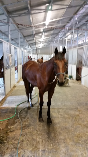 Casino «Running Aces Casino & Racetrack», reviews and photos, 15201 Zurich St, Columbus, MN 55025, USA