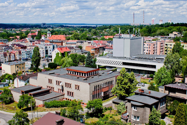 Powiatowa i Miejska Biblioteka Publiczna im. Konstantego Prusa w Rybniku - Biblioteka