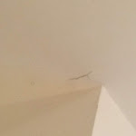 Photo n°3 de l'avis de Yor.m fait le 16/11/2018 à 10:43 sur le  Hotel Europa City à Berlin