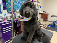 The Perfect Paw - Photo 5 - Car repair in East Syracuse, NY, Syracuse