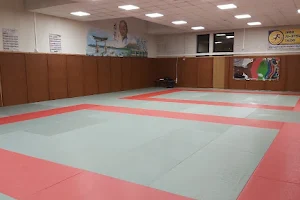 Clermont Judo Association image