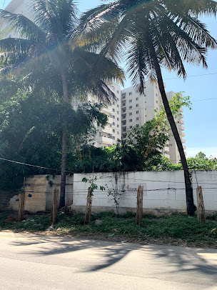 Google Maps image 20