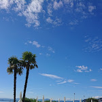 Photo n°2 de l'avis de Ton.r fait le 03/10/2020 à 07:28 sur le  Ristorante Pizzeria ARCA à Bardolino