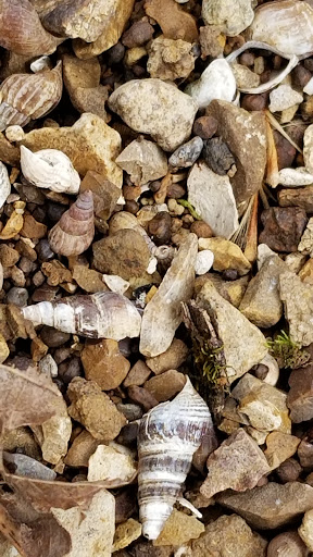 Park «Barfield Crescent Park», reviews and photos, 697 Veterans Pkwy, Murfreesboro, TN 37128, USA