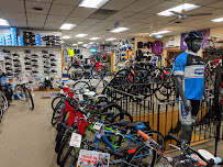 Farina's - Photo 9 - Car repair in Watertown, MA, Boston