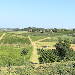 Photo n°4 de l'avis de Igor. fait le 29/07/2023 à 08:11 sur le  Villa Sparina Resort à Gavi