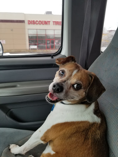 Tire Shop «Discount Tire Store - Joliet, IL», reviews and photos, 1719 W Jefferson St, Joliet, IL 60435, USA