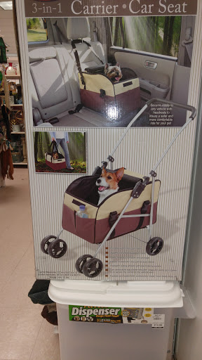 Department Store «Bealls Outlet», reviews and photos, 6030 Gall Blvd, Zephyrhills, FL 33542, USA