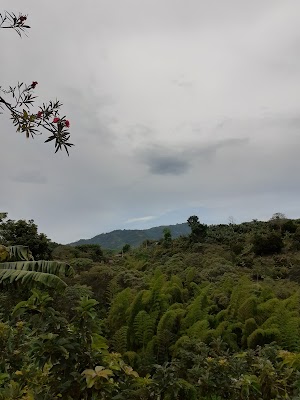 Vereda el paraíso - photo 1