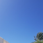 Photo n°3 de l'avis de Monika.V fait le 14/09/2022 à 16:51 sur le  La Farfalla à Favignana