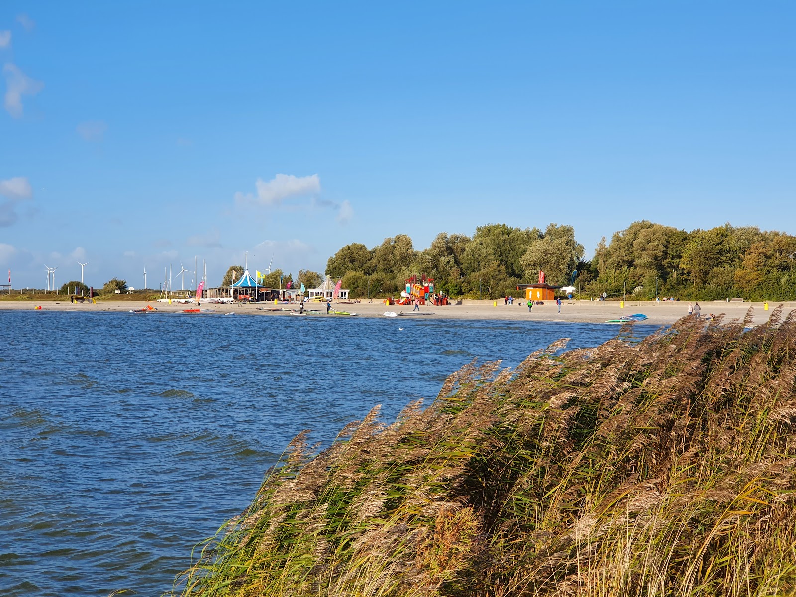 Makkum strand的照片 带有碧绿色水表面