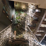 Photo n°1 de l'avis de Natural.o fait le 19/11/2023 à 07:14 sur le  Johann S. Restaurant & Weinbar à Leipzig