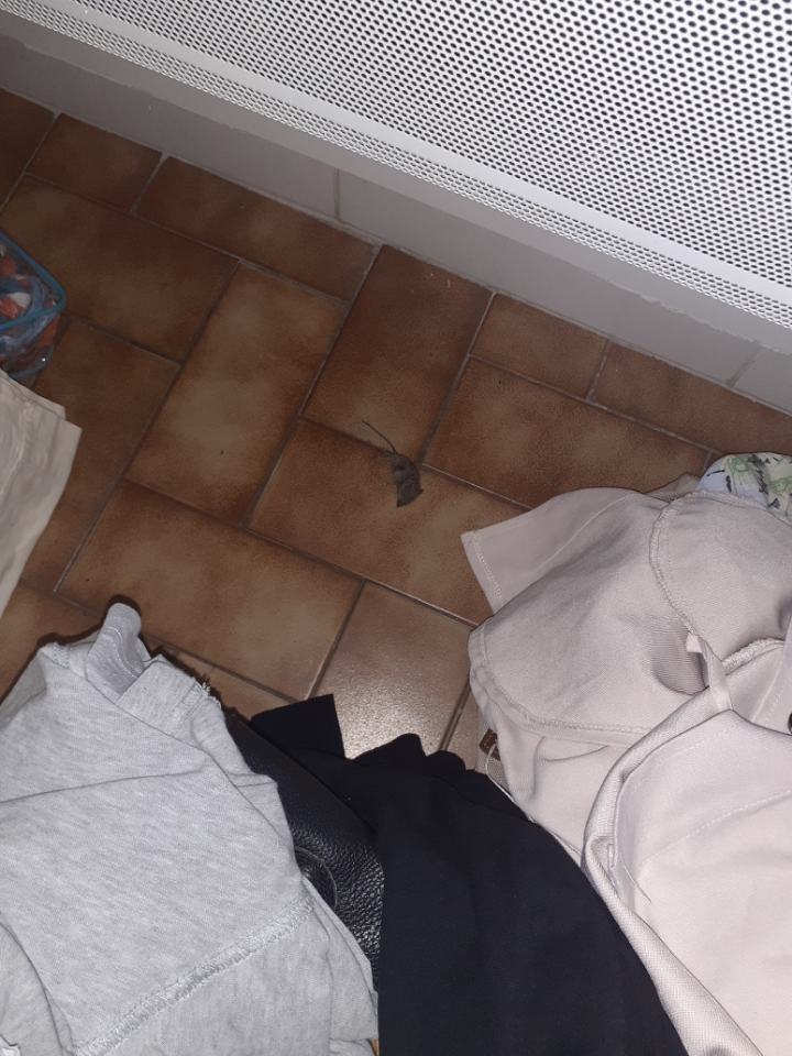 Photo n° 2 de l'avis de Amandine.R fait le 06/11/2021 à 13:23