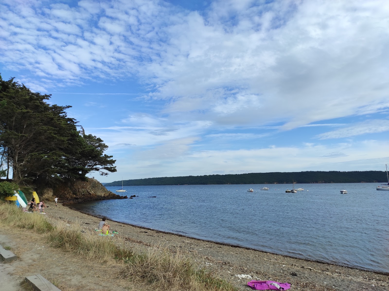 Photo de Bindy Beach avec baie spacieuse