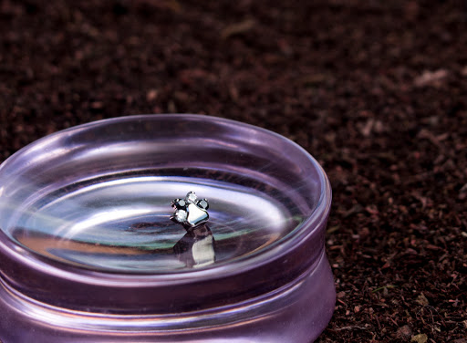 Explore cousin tattoos ideas, creative tattoo ideas in Bloomington, available at Smokin Aces Tattoo Company