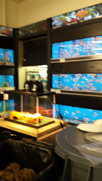 Pet Supplies Plus Champaign - Photo 8 - Car repair in Champaign, IL, Champaign