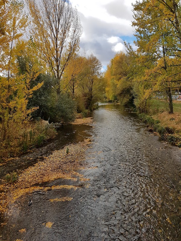 Imagen de Van Golem (14 de 20)