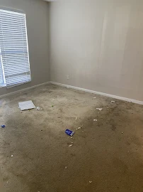 Rockamillies Cleaning Solutions - Car repair in , Tampa - Rated 0.0/5