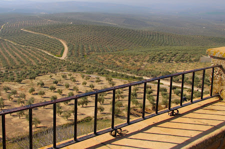 Parque paseo de Jesús 23790 Porcuna, Jaén, España