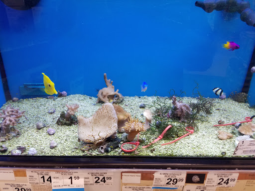 Pet Supply Store «Petco Animal Supplies», reviews and photos, 11331 W Broad St #151, Glen Allen, VA 23060, USA