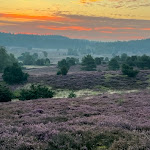 Photo n°6 de l'avis de Kiki. fait le 22/08/2023 à 18:23 sur le  STIMBEKHOF à Bispingen