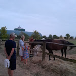 Photo n°2 de l'avis de Lisa.o fait le 14/06/2019 à 14:54 sur le  Landhotel Mehrin - Thomas Schulz à Kalbe