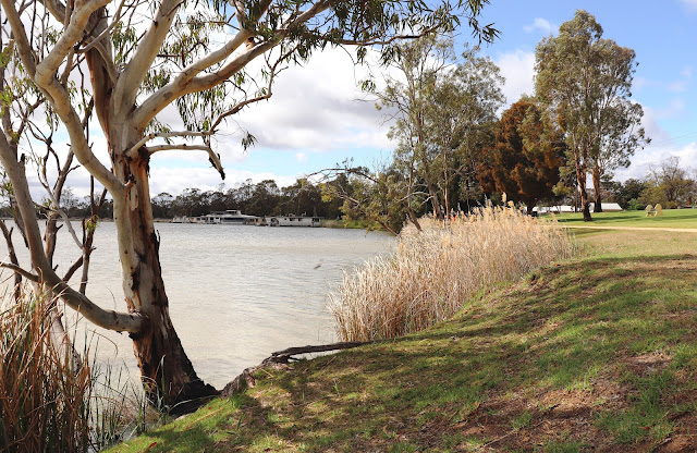 Kingston on Murray Riverfront Reserve
