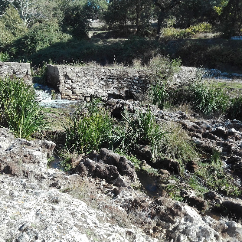 6 image