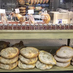 Photo n°4 de l'avis de Janelle. fait le 08/09/2021 à 18:42 sur le  Grangusto à Naples