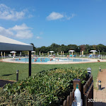 Photo n°6 de l'avis de Max.c fait le 01/10/2018 à 05:11 sur le  La Taverna Del Grillo à Pisa