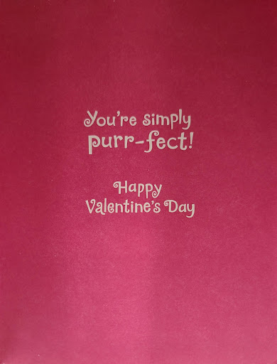 Dollar Store «Dollar Tree», reviews and photos, 2318 Monument Blvd, Pleasant Hill, CA 94523, USA