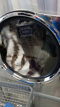 Clean Laundry - Photo 6 - Car repair in Whitehall, OH, Columbus